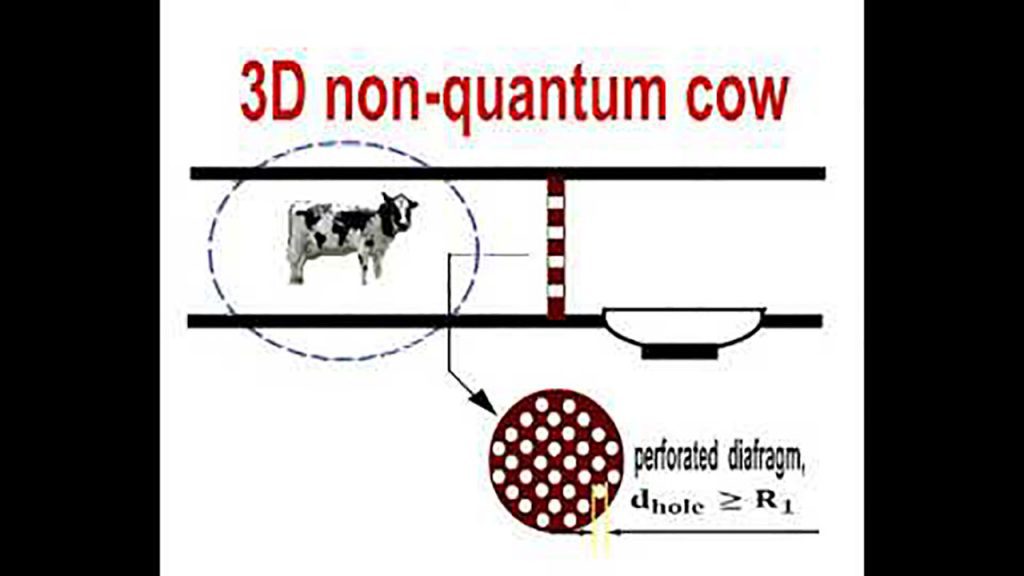 Quantum macro effect 3
