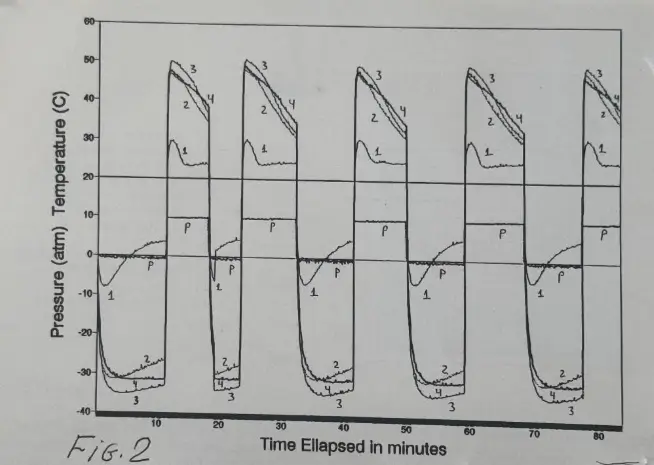 Time Ellapsed in Minutes - the experiment Figure2-computer graphics of the experiment (performed in my lab in 1993)
